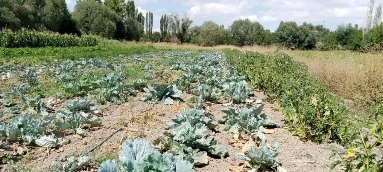 Sivrihisar'ın Meşhur Ürünü Tarih Mi Oluyor?